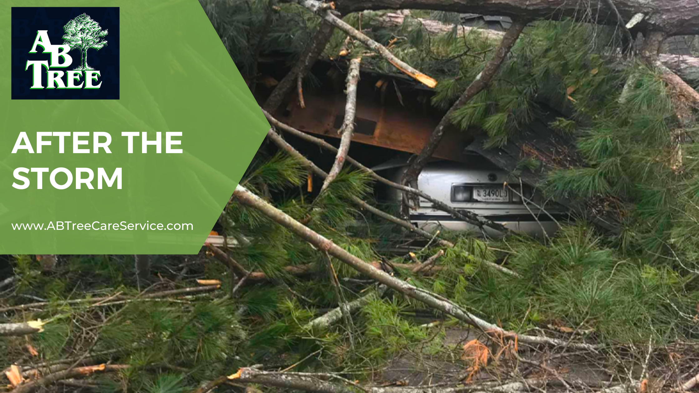 Tree Removal Spartanburg | After The Storm