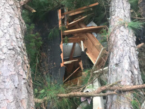 Tree Removal Spartanburg