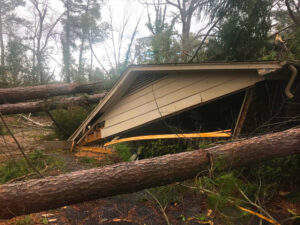 Tree Removal Spartanburg