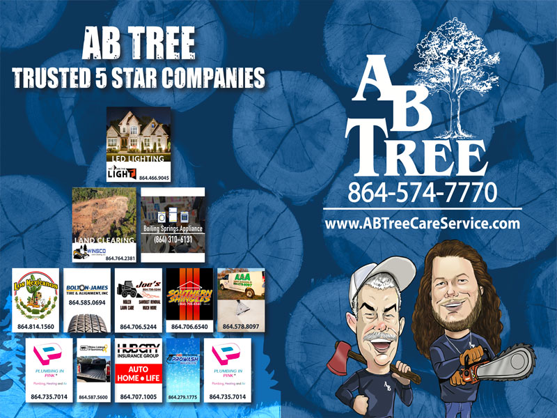 Trusted Professionals in Spartanburg