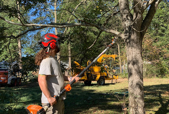 Tree Trimming Services