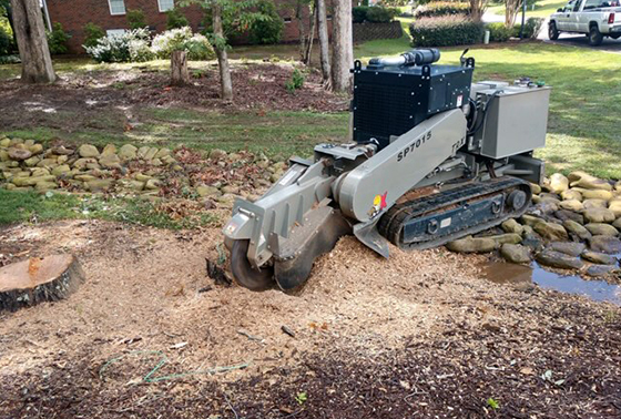 Stump Grinding Services Spartanburg